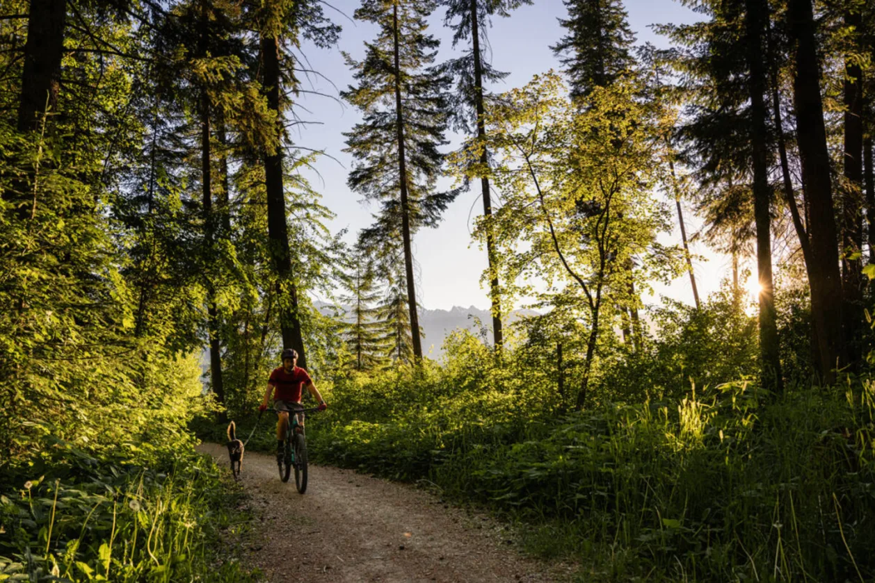 Rotary Trail near the Golden Municipal Campground-Kootenay Rockies Tourism:Mitch Winton